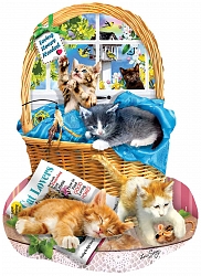 97058 - Free Kitties