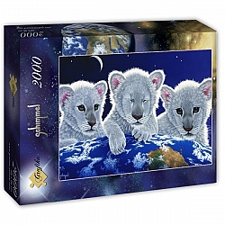 Schim Schimmel - Secret, Mystery and Hope (2000 stukjes)